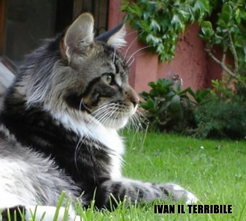 04_Lillycoons-IVAN-IL-TERRIBILE
