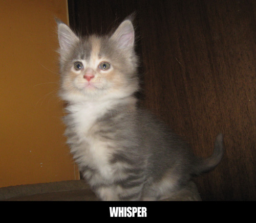 Whisper2