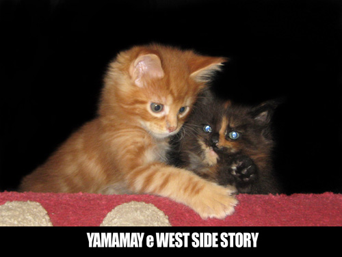 yamamay-e-wsstory